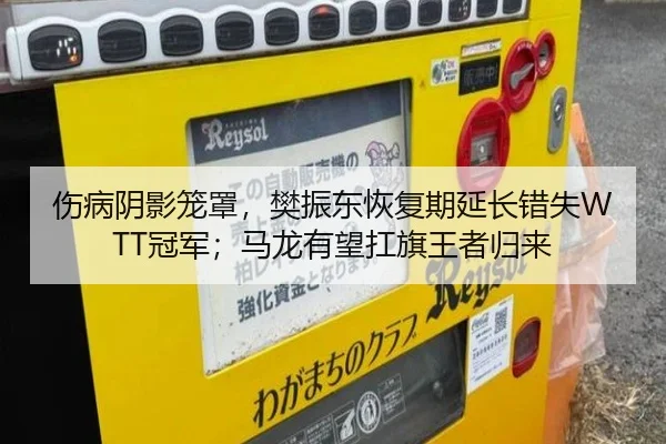 伤病阴影笼罩，樊振东恢复期延长错失WTT冠军；马龙有望扛旗王者归来