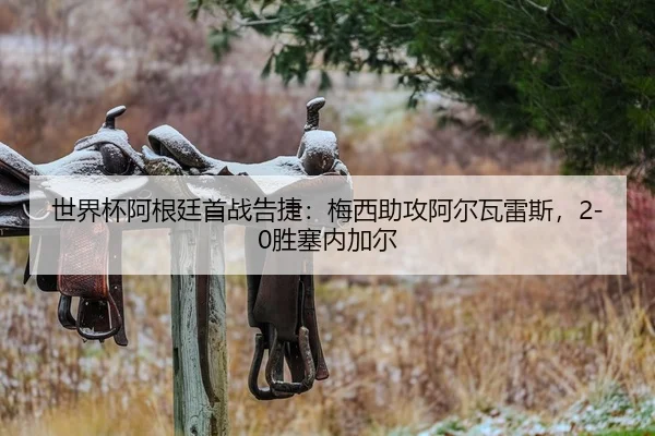 世界杯阿根廷首战告捷：梅西助攻阿尔瓦雷斯，2-0胜塞内加尔